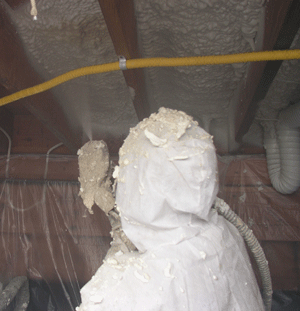 Prince Edward Island  crawl space insulation
