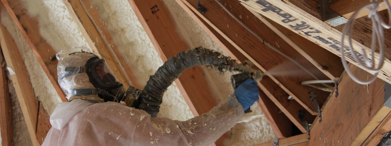 Prince Edward Island Attic Insulation Spray Foam Prince Edward Island Attic Insulation Spray Foam